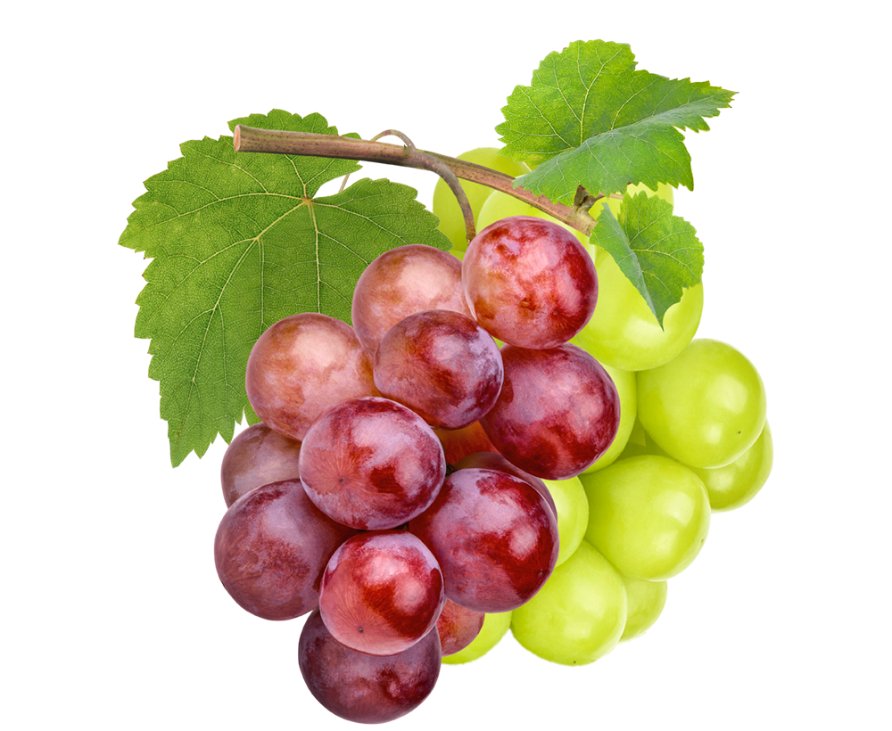 Grapes – Best Agro